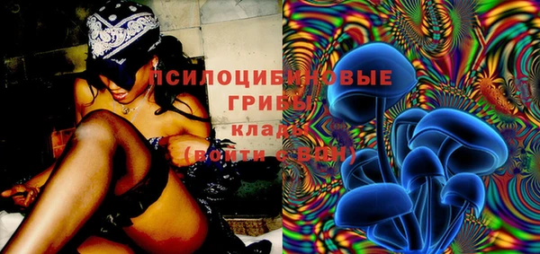 ПСИЛОЦИБИНОВЫЕ ГРИБЫ Абинск