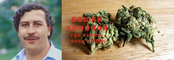 трава Абаза