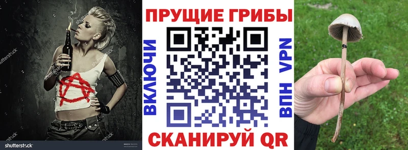 Галлюциногенные грибы мицелий  Энем 